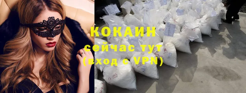COCAIN Эквадор  Ноябрьск 