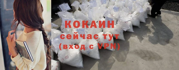 спайс Тавда