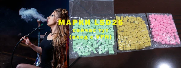 ПСИЛОЦИБИНОВЫЕ ГРИБЫ Михайловка