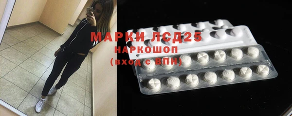 spice Михайлов