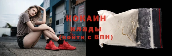 ГАЛЛЮЦИНОГЕННЫЕ ГРИБЫ Тайга