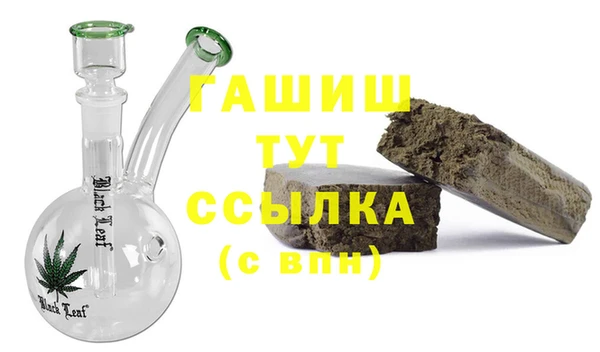 ГАЛЛЮЦИНОГЕННЫЕ ГРИБЫ Тайга
