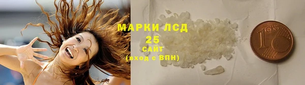 ПСИЛОЦИБИНОВЫЕ ГРИБЫ Михайловка