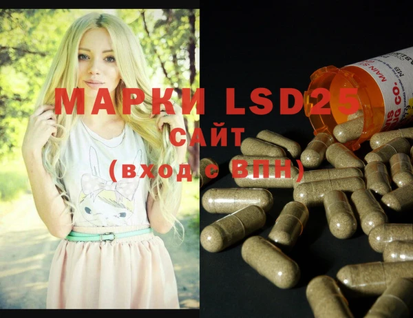 spice Михайлов