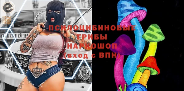 спайс Тавда