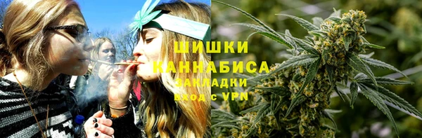 spice Михайлов
