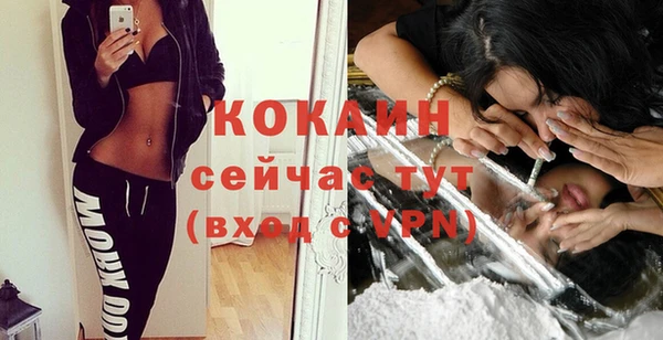 спайс Тавда