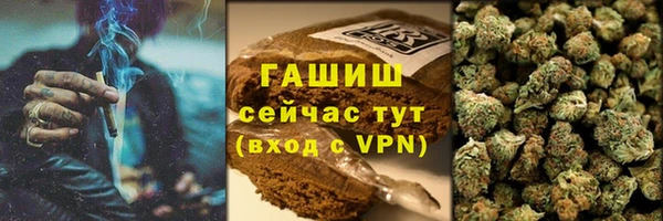 гашик Сясьстрой