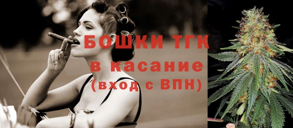 гашик Сясьстрой