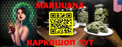шишки Гай