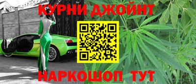 шишки Гай