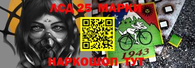 шишки Гай