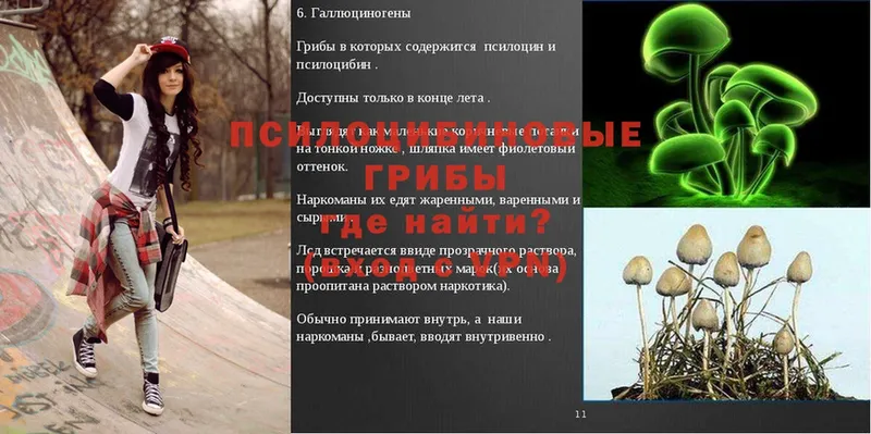 гидра как зайти  как найти закладки  Ноябрьск  Псилоцибиновые грибы Magic Shrooms 